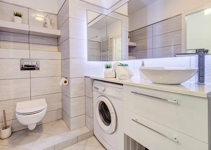 Silver 6 شتشيتسين